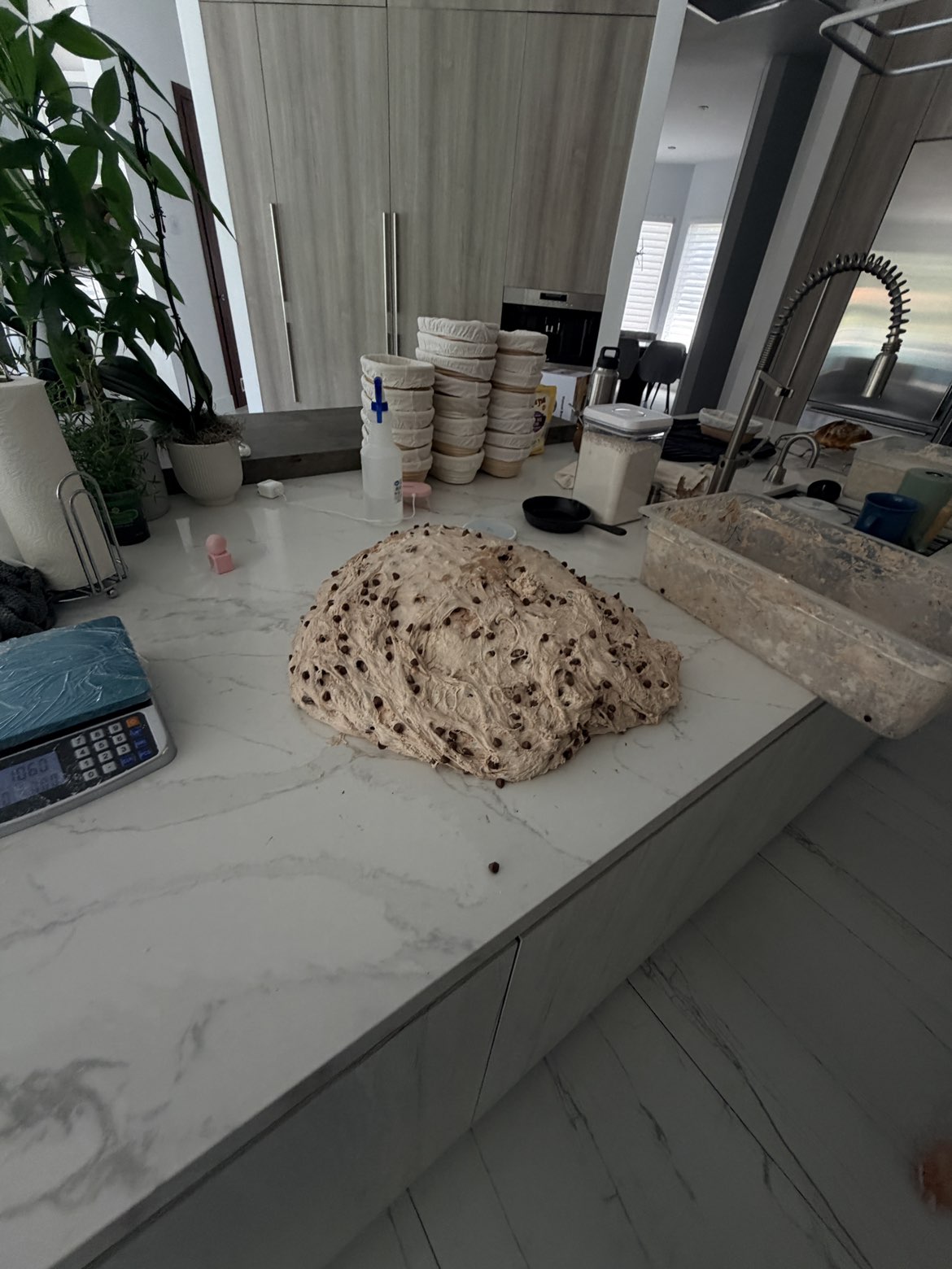 Chocolate chip sourdough dough resting on a kitchen counter